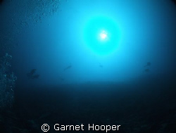 Divers in the sun...! Fantastic vis at Sipadan...
Taken ... by Garnet Hooper 